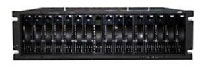 Ibm System Storage DS4000 EXP810 Expansion Unit (181281H) Ibm System Storage DS4000 EXP810 Expansion Unit (181281H)